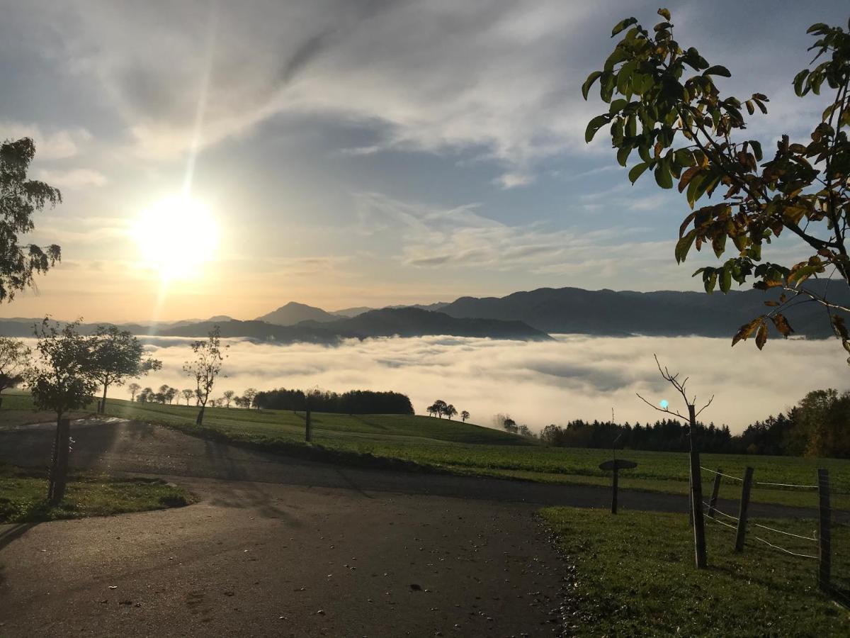 Hochhubergut Villa Aschach an der Steyr Dış mekan fotoğraf