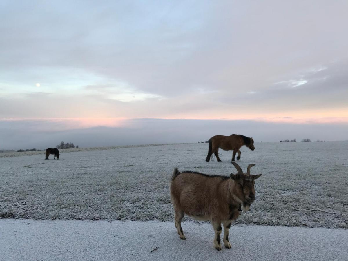 Hochhubergut Villa Aschach an der Steyr Dış mekan fotoğraf